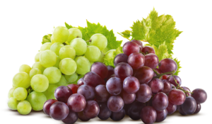 grapespng.parspng.com-7